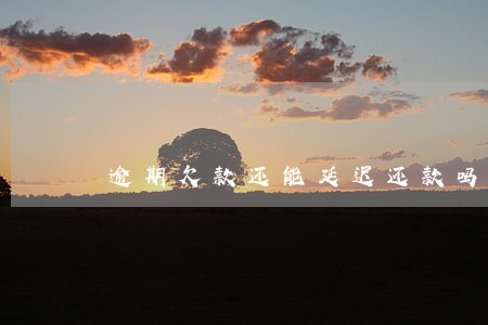 逾期欠款还能延迟还款吗 逾期欠款还能延迟还款吗