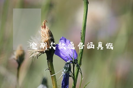 逾期欠款通告涵真假 逾期欠款通告涵真假