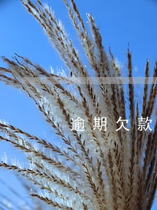 逾期欠款通告短信 逾期欠款通告短信