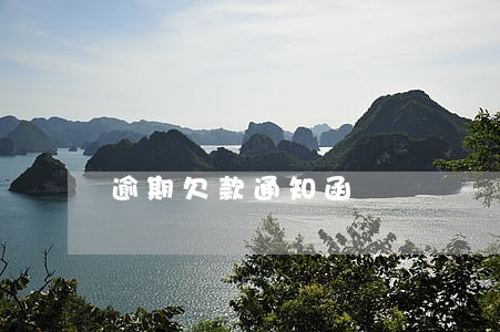 逾期欠款通知函 逾期欠款通知函