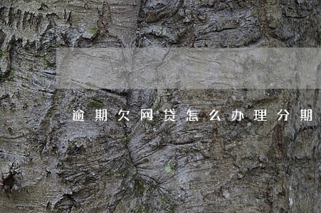 逾期欠网贷怎么办理分期车 逾期欠网贷怎么办理分期车