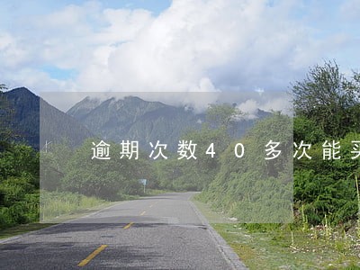 逾期次数40多次能买车吗