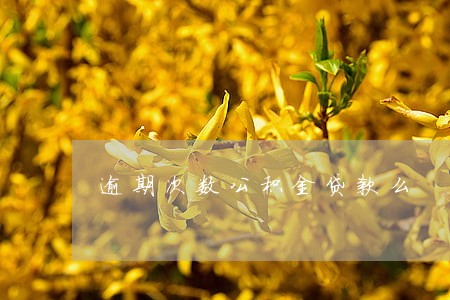 逾期次数公积金贷款么 逾期次数公积金贷款么