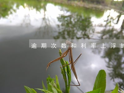 逾期次数和利率上浮的关系 逾期次数和利率上浮的关系