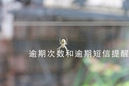 逾期次数和逾期短信提醒