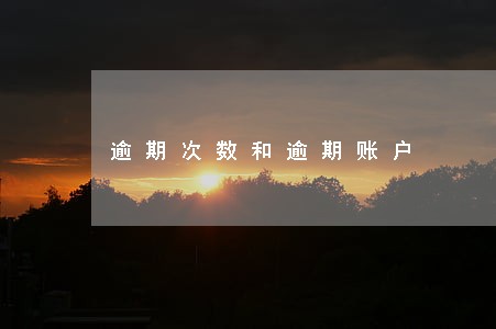 逾期次数和逾期账户 逾期次数和逾期账户