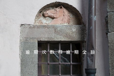 逾期次数和逾期金额 逾期次数和逾期金额