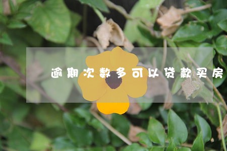 逾期次数多可以贷款买房吗 逾期次数多可以贷款买房吗