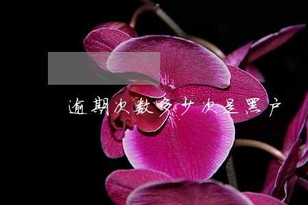 逾期次数多少次是黑户 逾期次数多少次是黑户