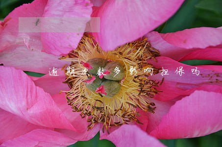 逾期次数多影响担保吗 逾期次数多影响担保吗