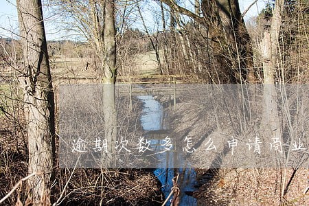 逾期次数多怎么申请商业贷款 逾期次数多怎么申请商业贷款