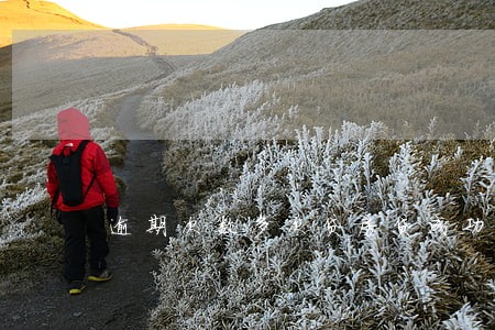 逾期次数多次贷房贷成功 逾期次数多次贷房贷成功