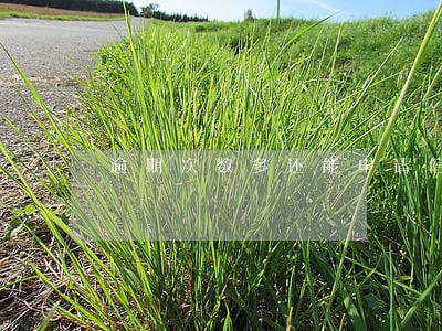 逾期次数多还能申请信用卡吗 逾期次数多还能申请信用卡吗