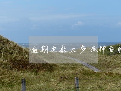 逾期次数太多抵押贷款审批有意见 逾期次数太多抵押贷款审批有意见