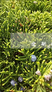 逾期次数很多征信五年后可消除 逾期次数很多征信五年后可消除