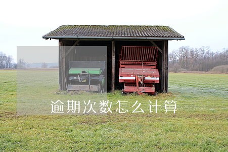 逾期次数怎么计算 逾期次数怎么计算