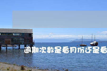 逾期次数是看月份还是看账户