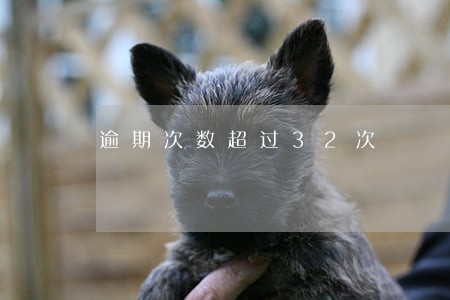 逾期次数超过32次 逾期次数超过32次