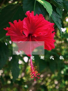 逾期次数超过6次 逾期次数超过6次