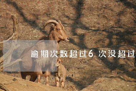逾期次数超过6次没超过3天 逾期次数超过6次没超过3天