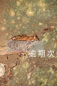 逾期次数超过8次 逾期次数超过8次