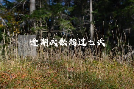 逾期次数超过七次