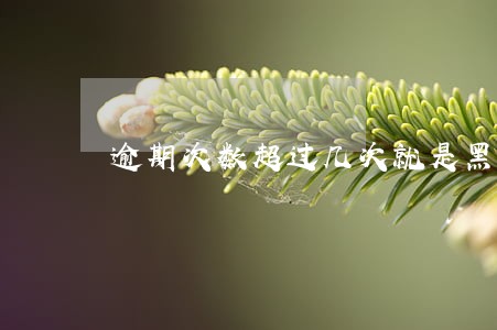 逾期次数超过几次就是黑户 逾期次数超过几次就是黑户
