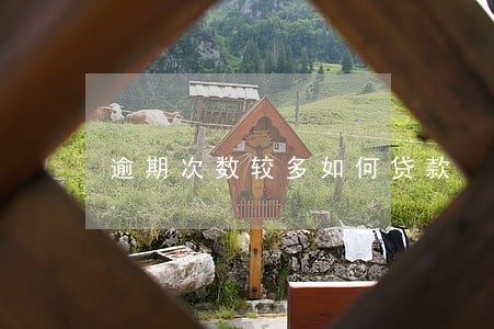 逾期次数较多如何贷款 逾期次数较多如何贷款