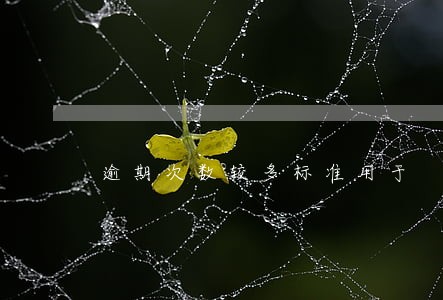 逾期次数较多标准用于