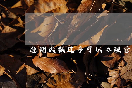 逾期次数过多可以办理营业执照吗 逾期次数过多可以办理营业执照吗