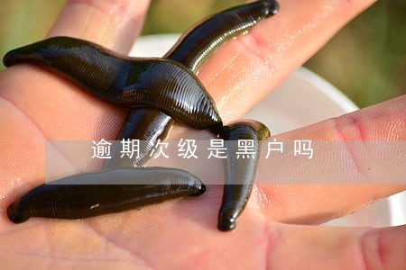 逾期次级是黑户吗 逾期次级是黑户吗