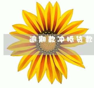 逾期款冲抵货款做什么科目好 逾期款冲抵货款做什么科目好