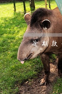 逾期款利息怎么算 逾期款利息怎么算