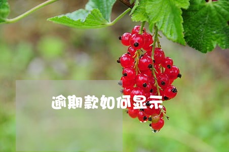 逾期款如何显示 逾期款如何显示