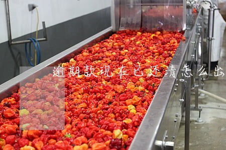 逾期款现在已还清怎么出个证明
