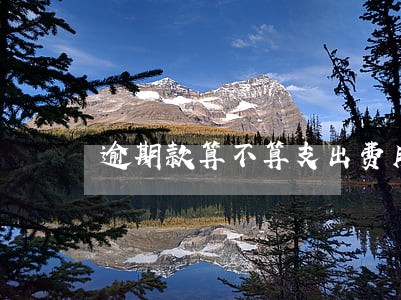 逾期款算不算支出费用 逾期款算不算支出费用