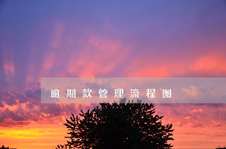 逾期款管理流程图 逾期款管理流程图