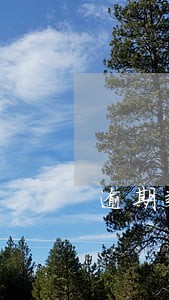 逾期款还上几天能恢复征信 逾期款还上几天能恢复征信