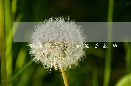 逾期款还了还能贷款吗