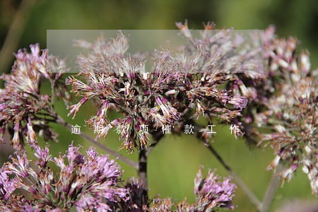 逾期款项催款工作