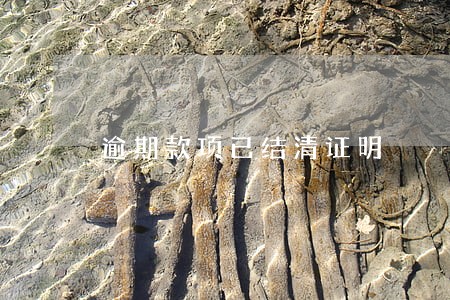 逾期款项已结清证明 逾期款项已结清证明