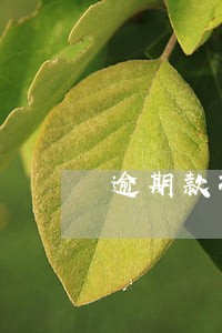 逾期款项计算方法 逾期款项计算方法
