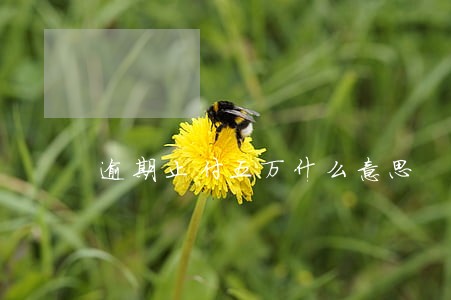 逾期止付五万什么意思
