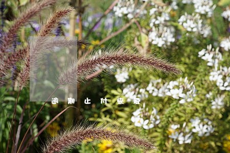 逾期止付恢复 逾期止付恢复