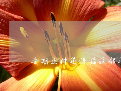 逾期止付还清后注销还是先放置 逾期止付还清后注销还是先放置
