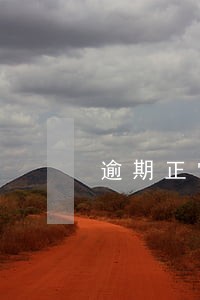 逾期正常费用是多少 逾期正常费用是多少