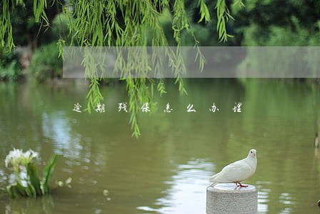 逾期残保怎么办理 逾期残保怎么办理