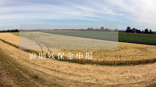 逾期残保金申报 逾期残保金申报