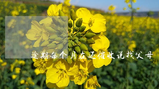 逾期每个月在还催收说找父母 逾期每个月在还催收说找父母