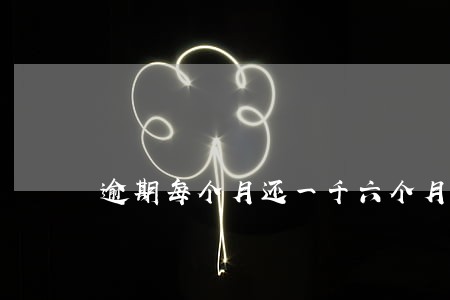 逾期每个月还一千六个月还清 逾期每个月还一千六个月还清